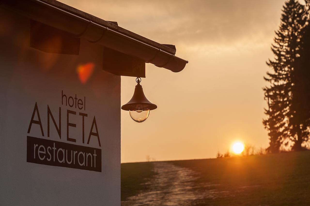 Aneta Hotel & Restaurant Vítkovice Exteriör bild